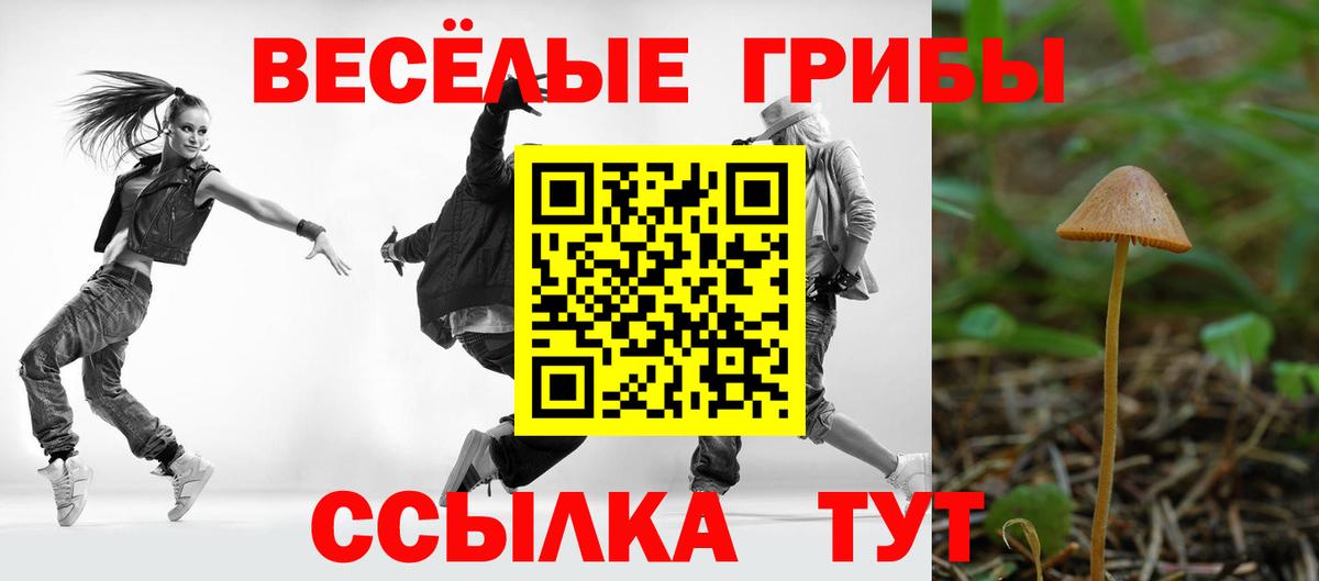 Псилоцибиновые грибы Magic Shrooms Гусиноозёрск