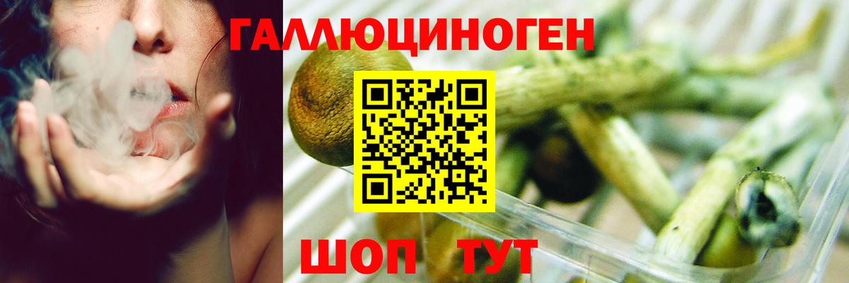 Гусиноозёрск  Галлюциногенные грибы мухоморы  Галлюциногенные грибы MAGIC MUSHROOMS  Вход с VPN 
